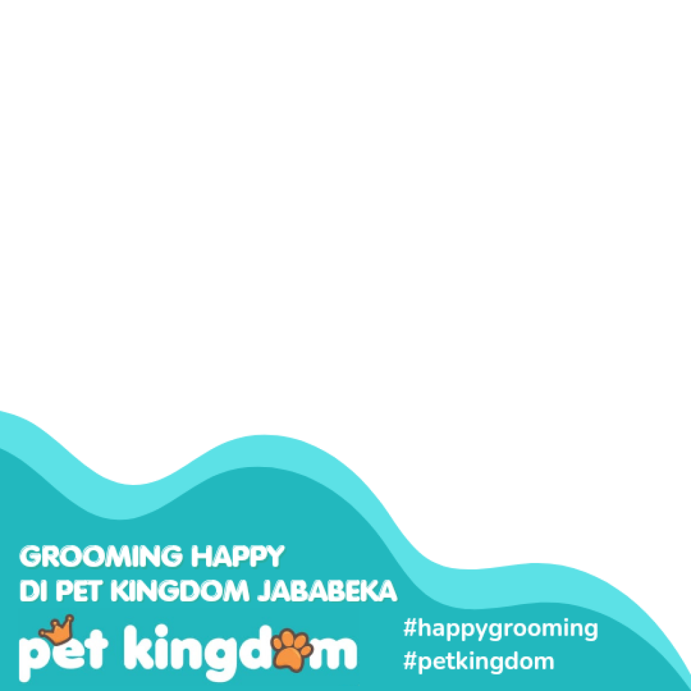 Pet kingdom grooming