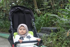 ahmad fauzi